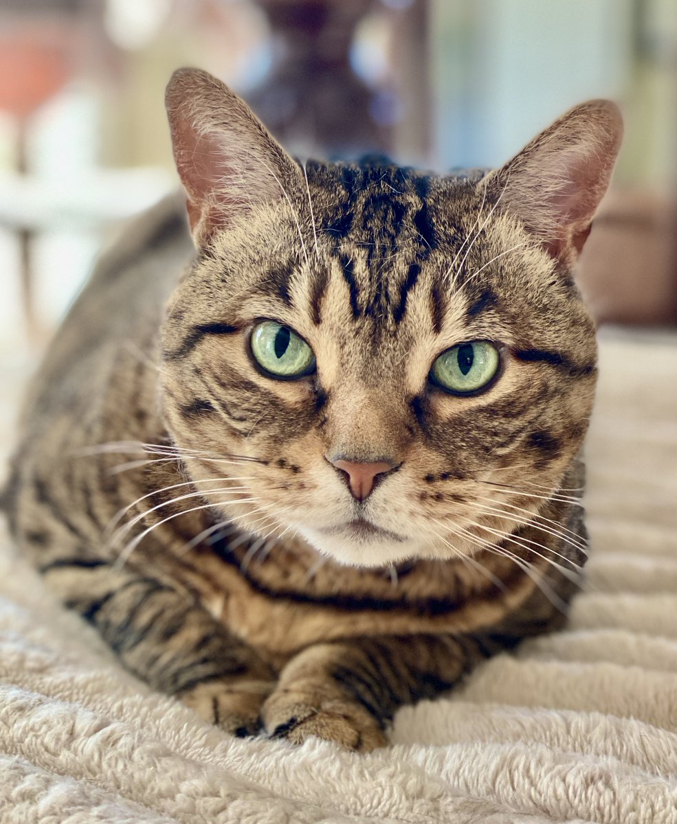 For the love of Missy. tweet media