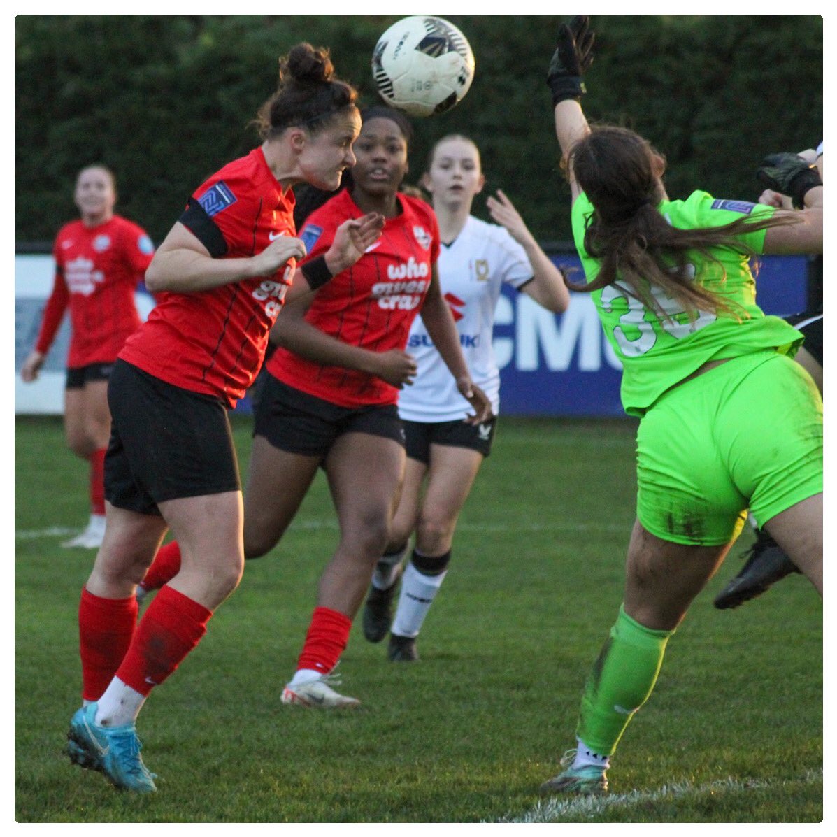 whistonslibrary's tweet photo. I had the pleasure of shooting the @MKDonsFCWomen vs @LewesFCWomen game! It was an unfortunate loss by @MKDonsFCWomen as the game end as a 0-7 win for @LewesFCWomen https://t.co/F2c2C1f9si