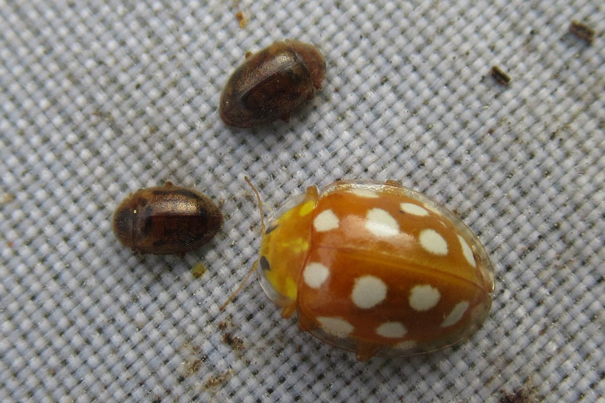 Andrew Jewels tweet media