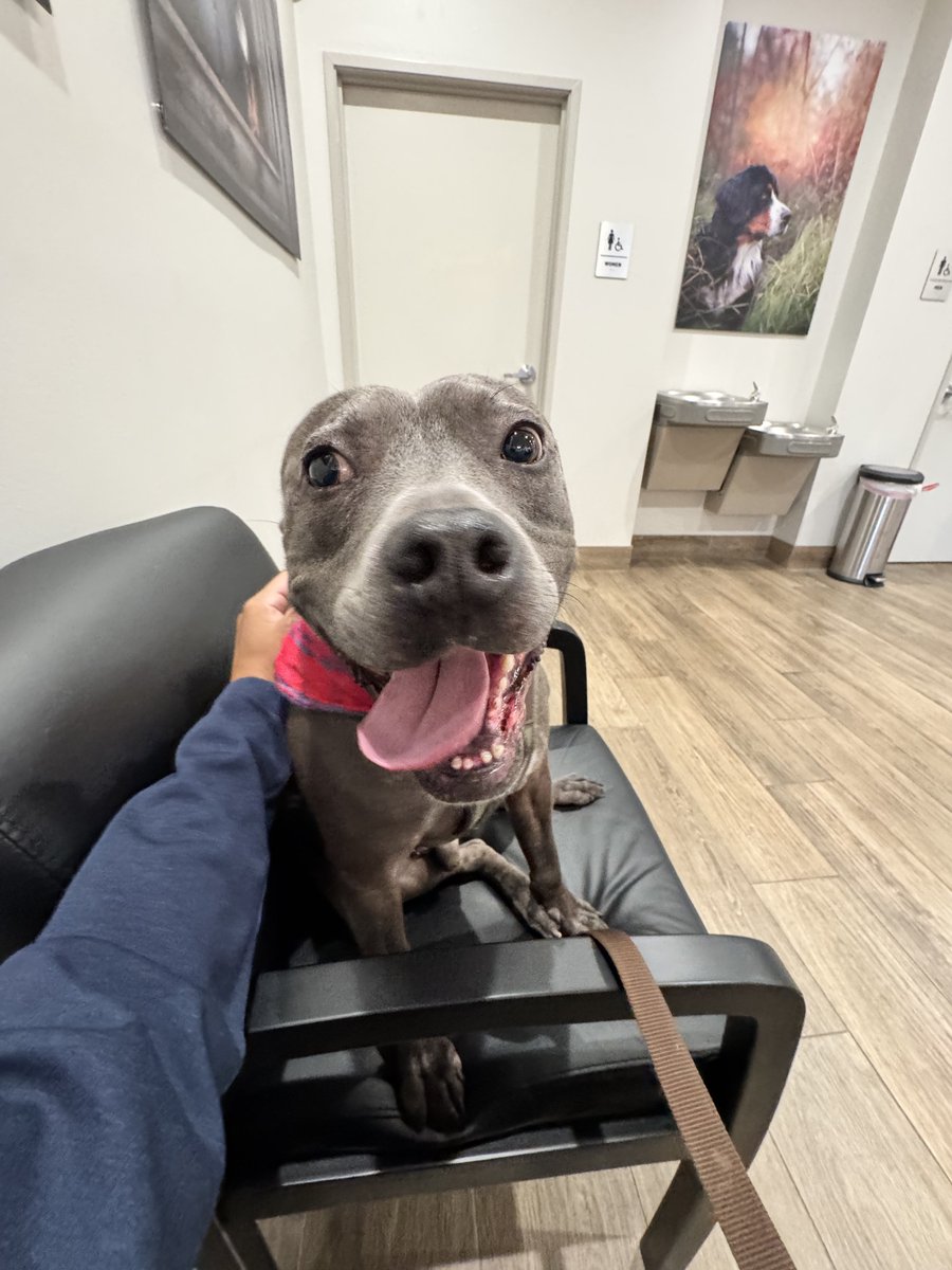 𝐇𝐞𝐫𝐜𝐮𝐥𝐞s🇺🇸 tweet media