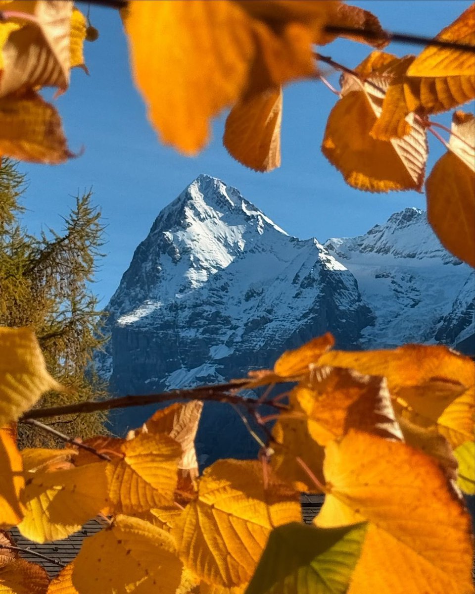 Autumn colours 🍁🏔️🍂

📷: @swissmountainview (IG)

#autumnalpinevibes #autumnleaves #jungfrauregion #swissalps #switzerland #eiger #murren #SnowHour #ThePhotoHour #StormHour