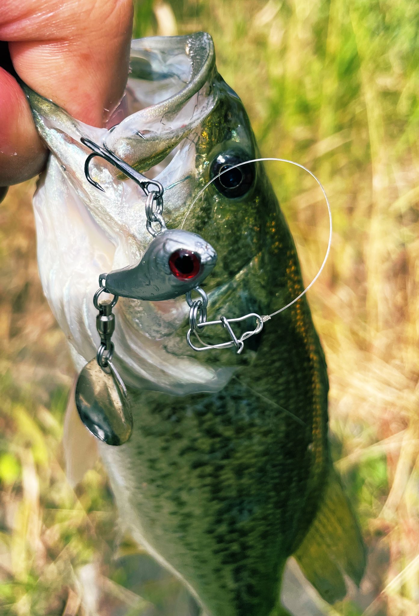 バス釣りにハマった「元」アラフォー (@21_7bassfishing) / X