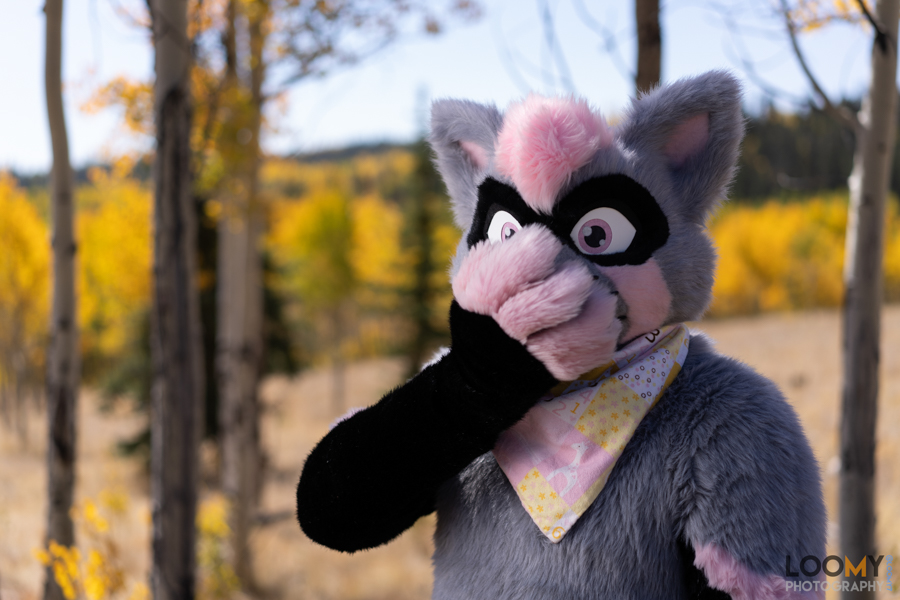 Loomy7's tweet photo. https://t.co/nAfwRM6Fk9