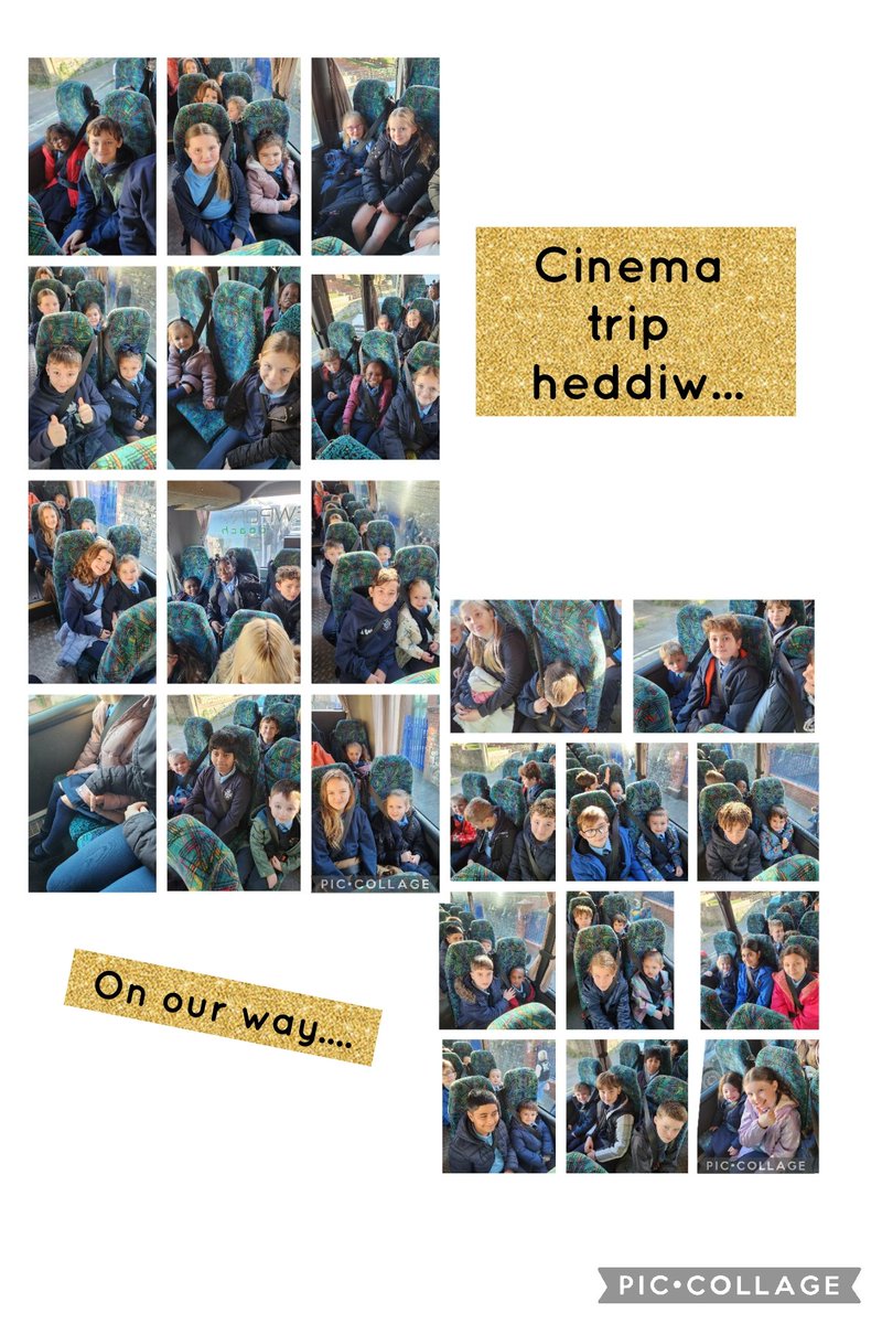 St Joseph's Primary tweet media