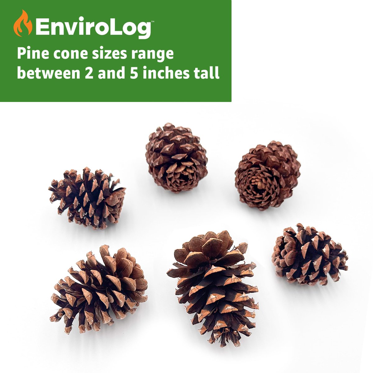EnviroLogFire's tweet photo. Premium, Grade A, Christmas Tree Scented Ponderosa Pinecones for Home, Office & Retail Décor! New from Envirolog! Shop now here: https://t.co/DHvsclKKUr
#Envirolog #holiday #christmas https://t.co/P7TZxluubd