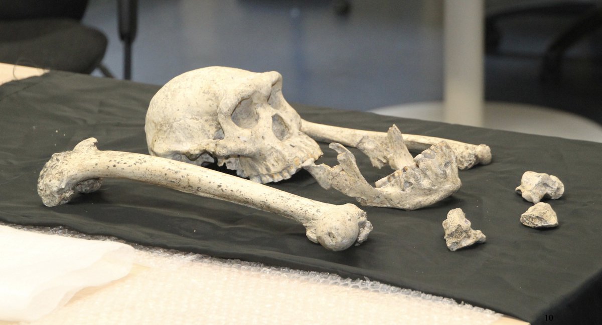 <a href="/Nature/">nature</a> <a href="/UZH_en/">University of Zurich</a> <a href="/MarcitaPdL/">Marcia Ponce de León</a> <a href="/lightsources/">lightsources.org</a> <a href="/ESFRI_eu/">ESFRI_eu</a> The findings published in <a href="/Nature/">nature</a> point to extended childhood, paired with cultural  transmission in three-generation groups as a possible spark for the  growth of larger brains in humans.