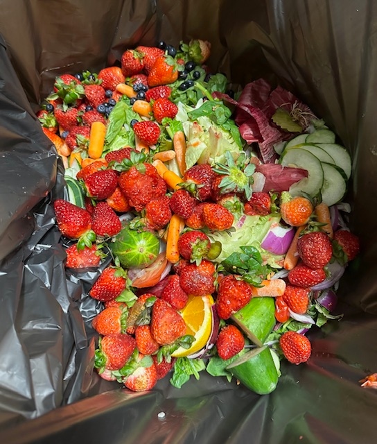 OFCSDistrict's tweet photo. 🥗 Mrs. Jones' Urban Ag. Class teamed up with the Food Service Department to bring their hydroponic lettuce and herbs into the cafeteria! These fresh ingredients are used in salads district-wide, while cafeteria scraps support the students' composting projects. 🍅 #TheBulldogWay https://t.co/cA6fcpTTGp