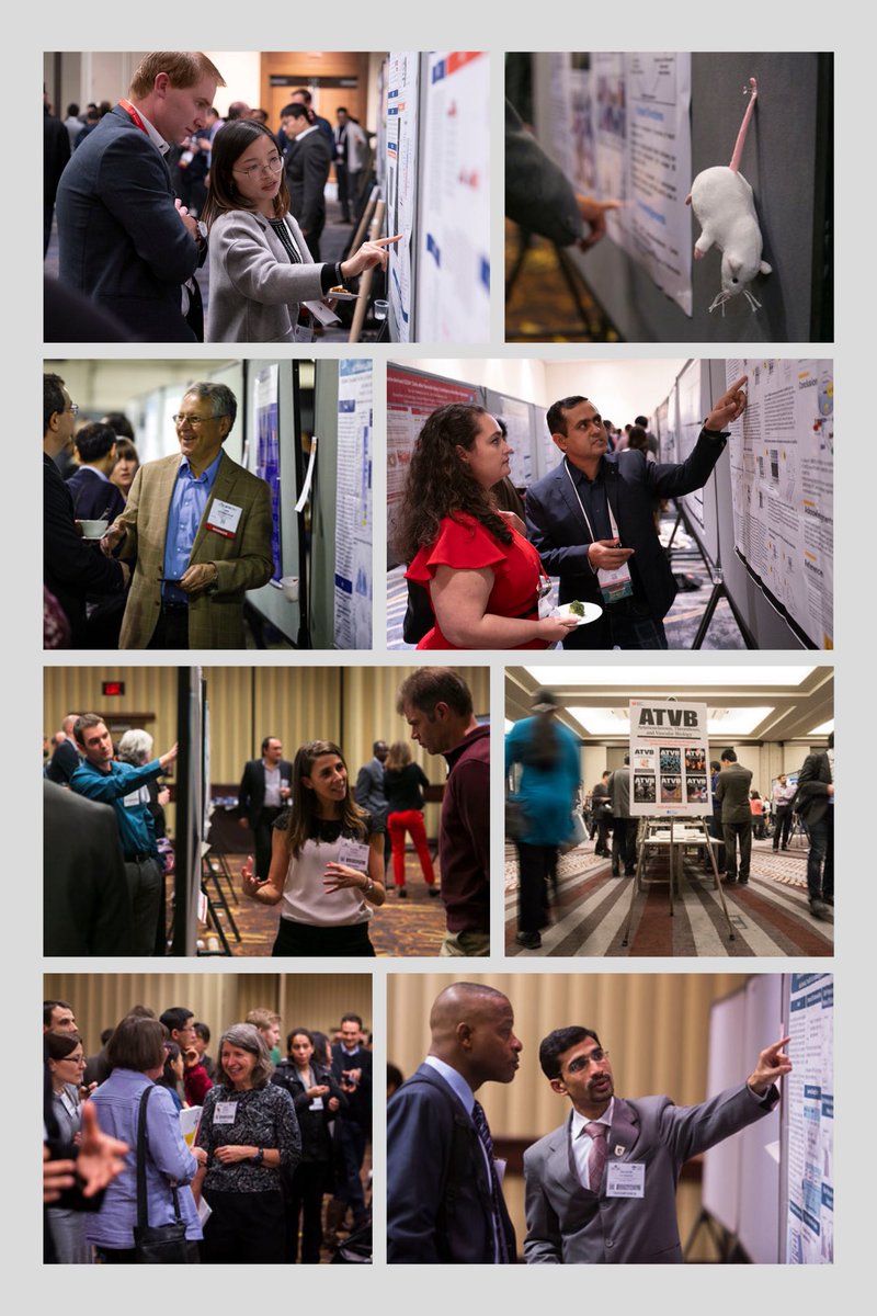 Maybe I’m biased…but the ATVB EC Poster Reception is probably my all time fave event from #AHA24 - we’ve invited the TOP science from the ATVB Community to share their work in an intimate one on one setting that fosters networking, community, and FUN. 

SEE YOU THERE! 📝