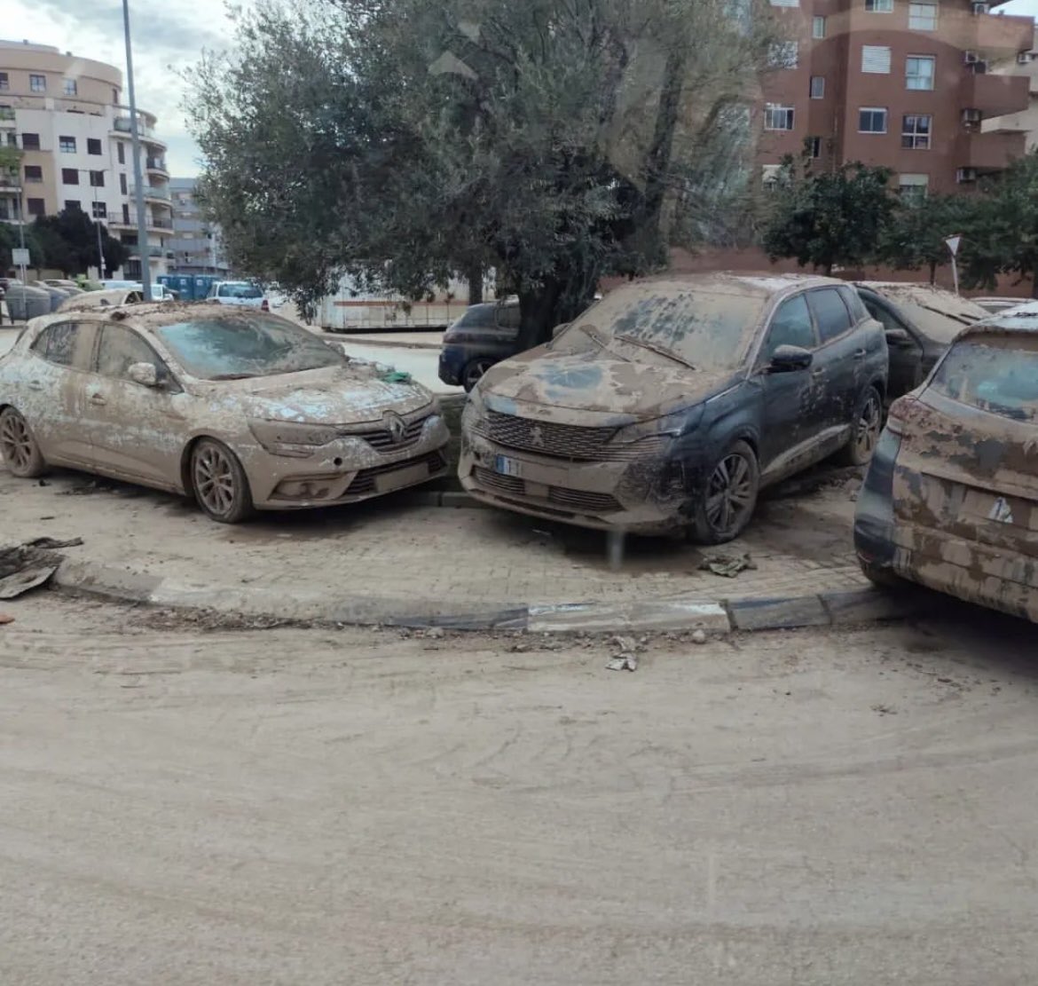 Filo Cañete Carrillo tweet media