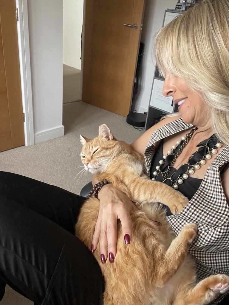 Finally, the adults are back.
Red is the new Blue...
Dog is the new Cat, er... not sure Tchaikovsky would agree, 😹but he's Red - so this cat is making litterboxes  great again!
#dogcoin #FreedomOfSpeech #FREEDOM #DOGE #doge <a href="/elonmusk/">Elon Musk</a> to infinity!🤠 #SouthAfrican #boermaaknplan