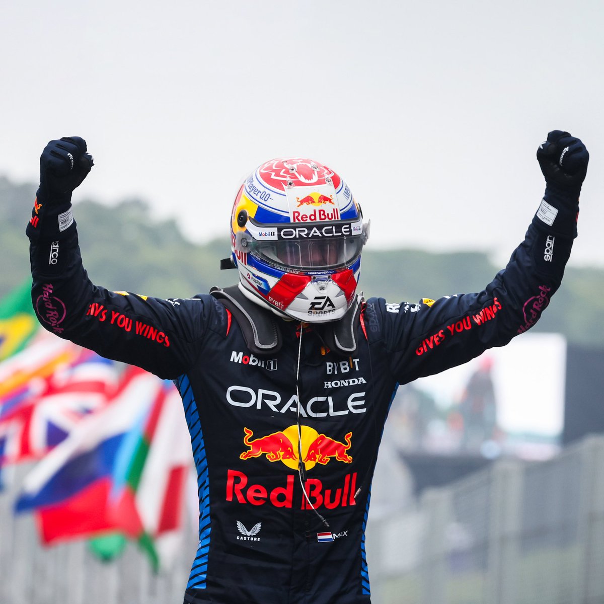 Max Verstappen tweet media