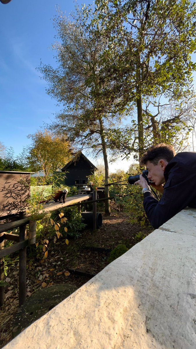 Admark Advertising (@admarkuk) on Twitter photo 🎥 Today, our videographer Kevin visited <a href="/SheprethWPark/">Shepreth Wildlife Park</a>, capturing stunning footage of all the incredible animals! 🐾
Video coming soon!
#Videography #SheprethWildlifePark #Wildlife 🎥 Today, our videographer Kevin visited <a href="/SheprethWPark/">Shepreth Wildlife Park</a>, capturing stunning footage of all the incredible animals! 🐾
Video coming soon!
#Videography #SheprethWildlifePark #Wildlife