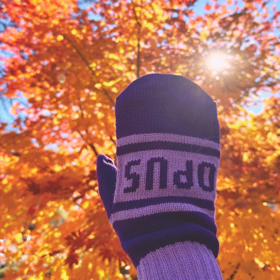 Interested in Opus College grad programs? Join us at <a href="/LakeMonsterBrew/">Lake Monster Brewing</a> for an admissions mixer on Nov. 20 from 5-7 p.m. Get your questions answered by alumni, faculty, students, and staff in a fun relaxed space. 

RSVP and get a pair of Opus mittens! ow.ly/evOL50U5Ca9