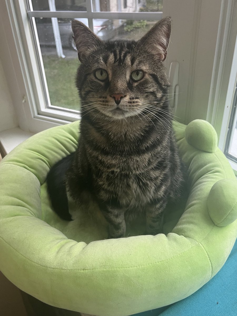 he makes a good point