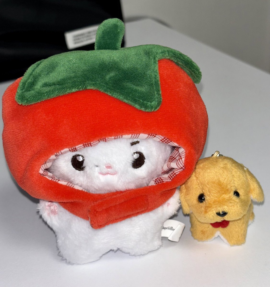 땅뭉이드디어🥹