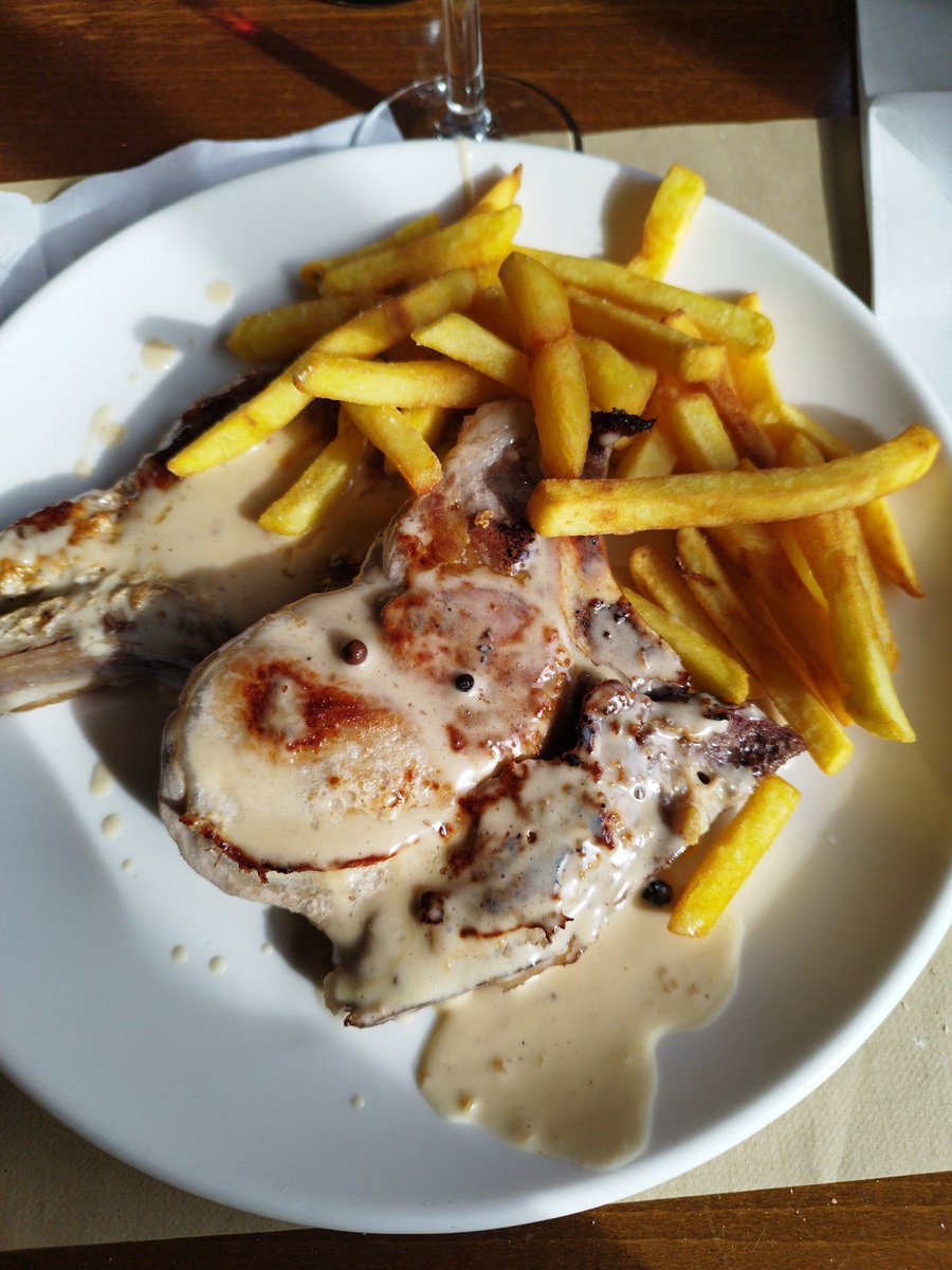 Aristátoles. tweet media