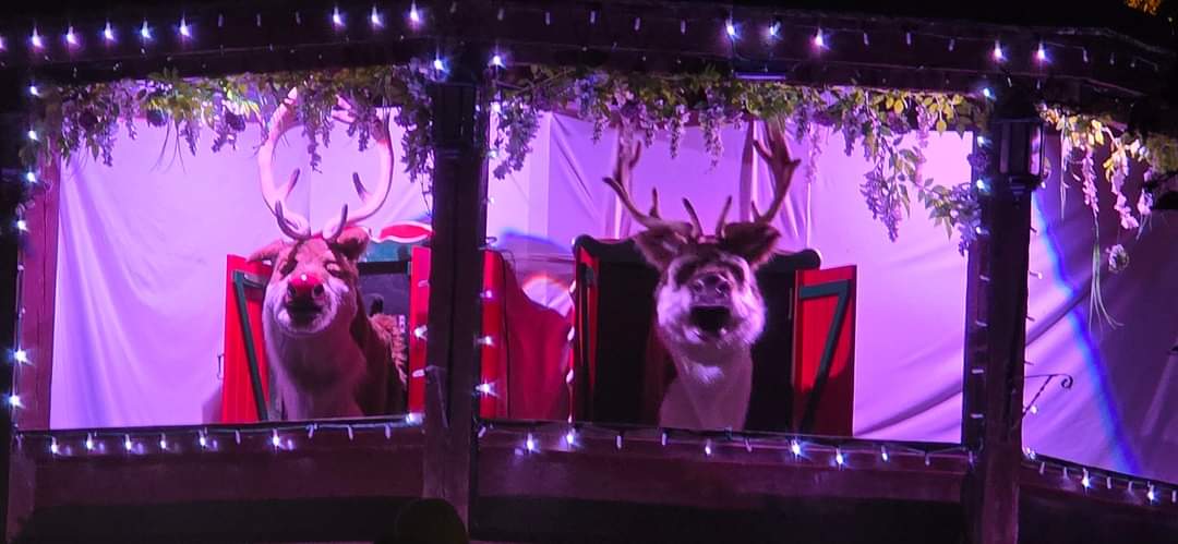 sam_lane01's tweet photo. Lush christmassy week away at @BluestoneWales to get the festivities started #bluestone #wales #Pembrokeshire #Christmas https://t.co/K7oo1C0tMz