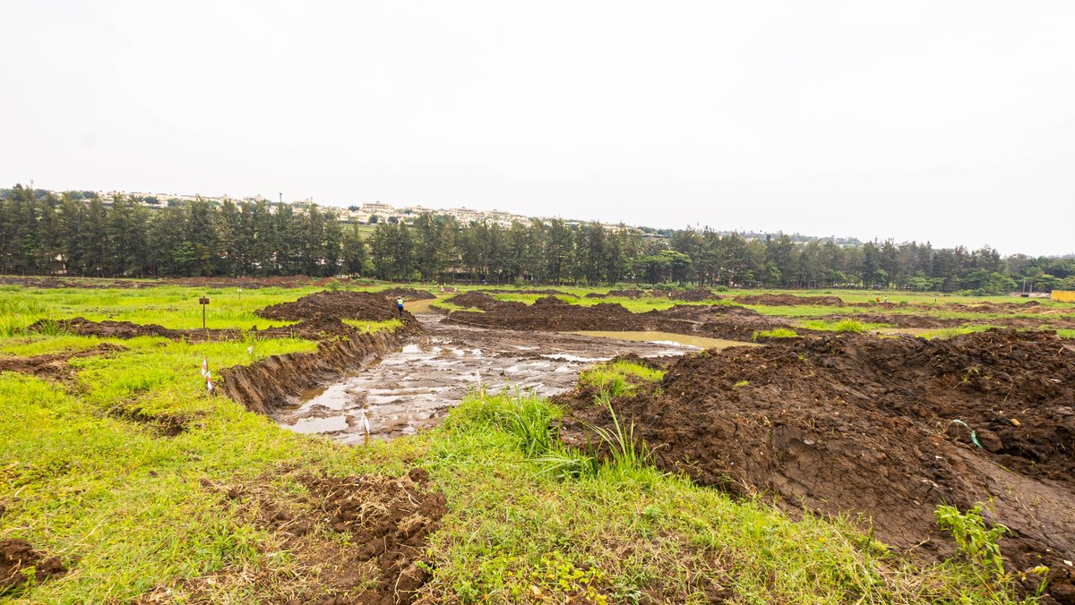 rcl_rw's tweet image. The Kigali Wetlands Restoration Project: Gikondo Wetlands Progress.

#GreenRwanda #RealProjects