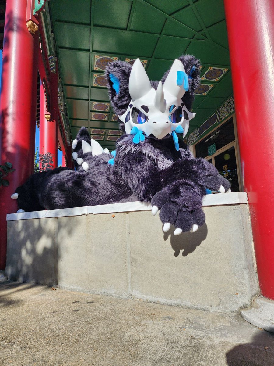 Someone should run a DNA test, Xikala may have some cat in them! 🤨

📷: <a href="/LEYENDAS2/">LEYENDAS</a>
#furry #fursuit