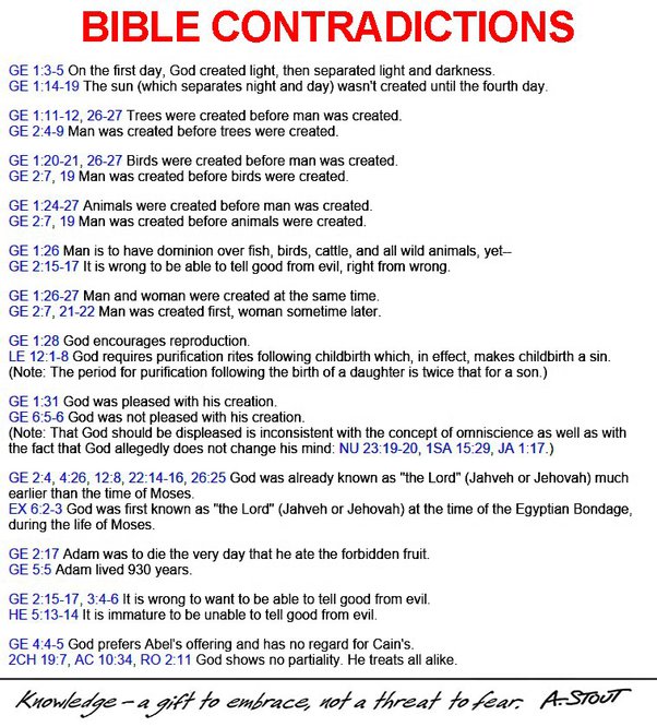 🇺🇸Nice Cuddly Bunny🇺🇦🐰 tweet media