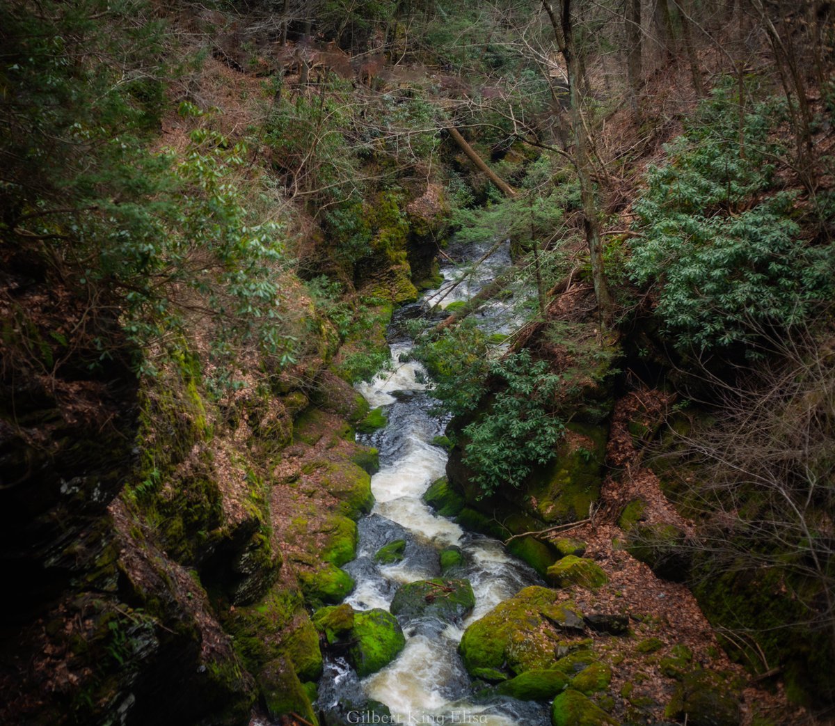 GilbertKElisa's tweet photo. Rushing Waters
#GilbertKingElisa #outdoors #Hiking #Pennsylvania #outdoors #mountains #Bushkill #clouds #photography #naturephotography #nature #art #visualart #landcapes #photographer #trees #naturephotography #colorphotography #travel #travelphotography #streams #flowers https://t.co/ryhL67JwYK