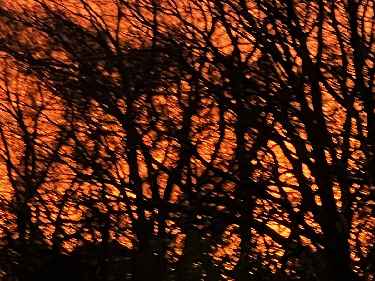 Michele Markey tweet media