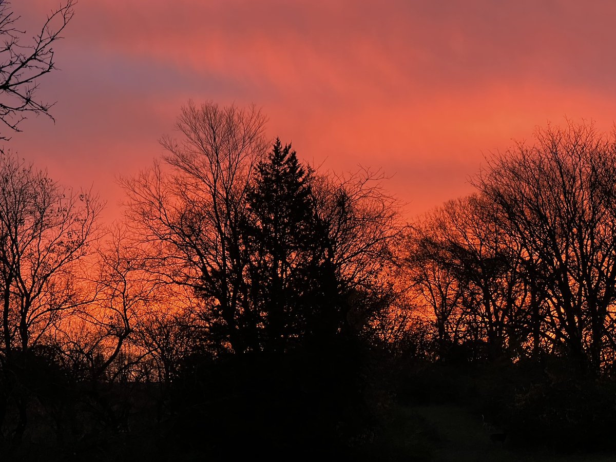 Michele Markey tweet media