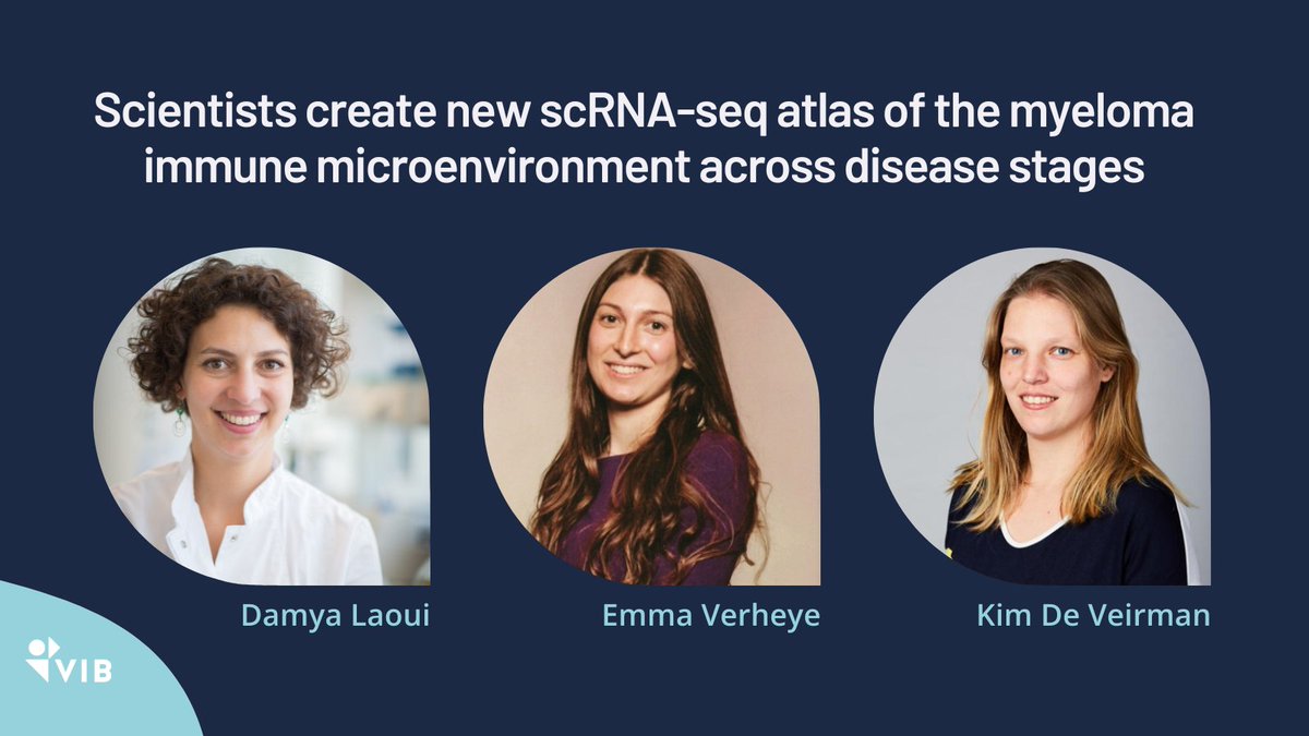 VIBLifeSciences's tweet photo. 🔬 Proud to present a new (and freely available) single-cell RNA-sequencing atlas of the myeloma immune microenvironment across disease stages by @Laouimmunology, Kim De Veirman, Emma Verheye, and colleagues. @FWOVlaanderen @VUBrussel @InflamResCen
 👉 https://t.co/qYwUE2g2Qh https://t.co/dNw8e6lqfs
