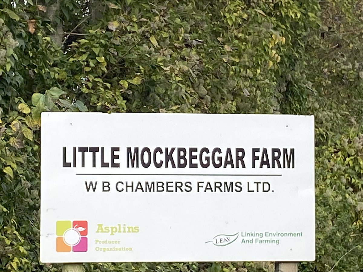 Beat this for a character name…