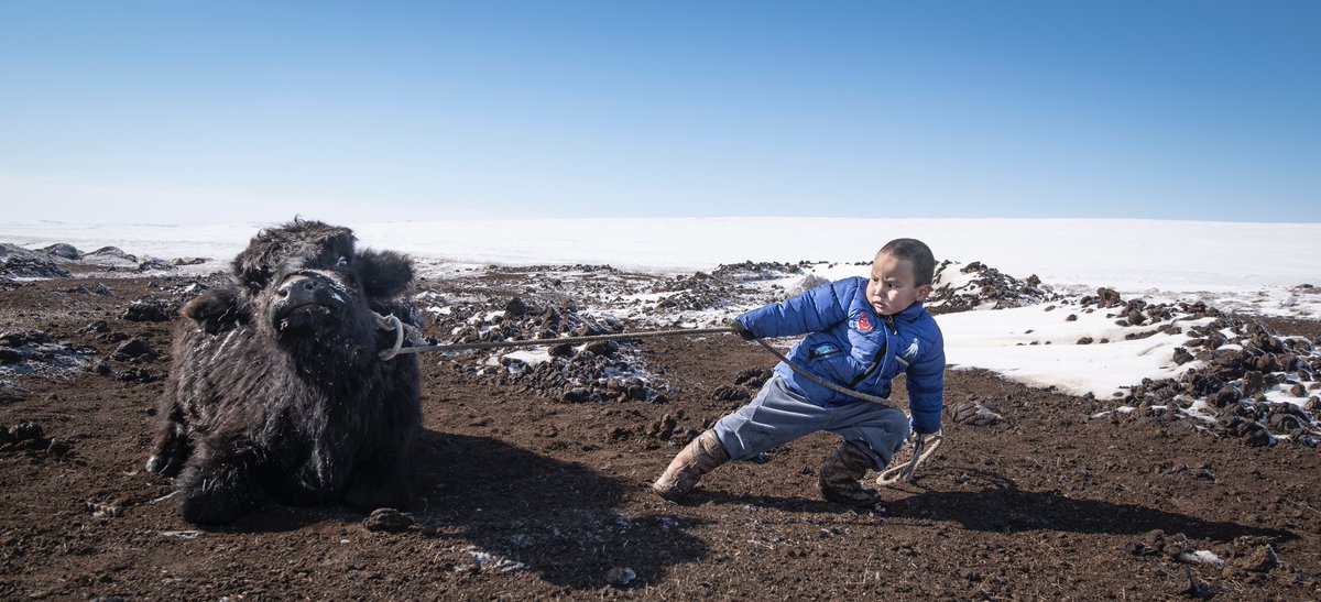 Simon Townsley tweet media