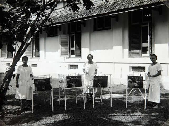 Lakonstory's tweet image. ADA YANG SUDAH TAU CERITA INI 

NGERI !

Ibu ini Melahirkan di kamar mayat rumah sakit terbengkalai di bantu makhluk halus.

RS MARDI WALUYO BLITAR

A Thread