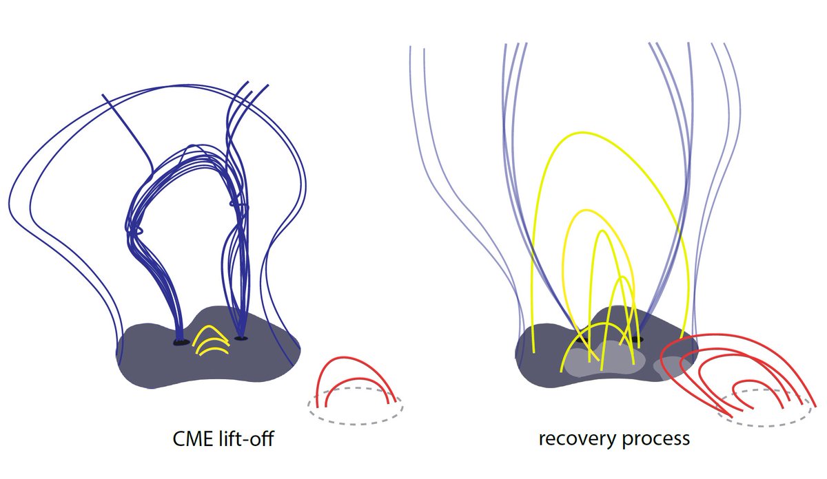 chigaga_'s tweet photo. Our paper "Recovery of coronal dimmings" is finally published in A&amp;A!🐙Made a sketch for discussion and bunch of data visualizations😋📊. Read here: https://t.co/GLVUVbR4EW via @AandA_journal https://t.co/0lSglshp5u