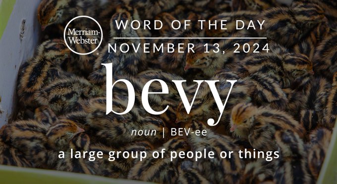 Merriam-Webster Word of the Day November 13, 2024 'bevy' noun | BEV-ee "a large group of people or things" Background Image:  a bucket of crabs

