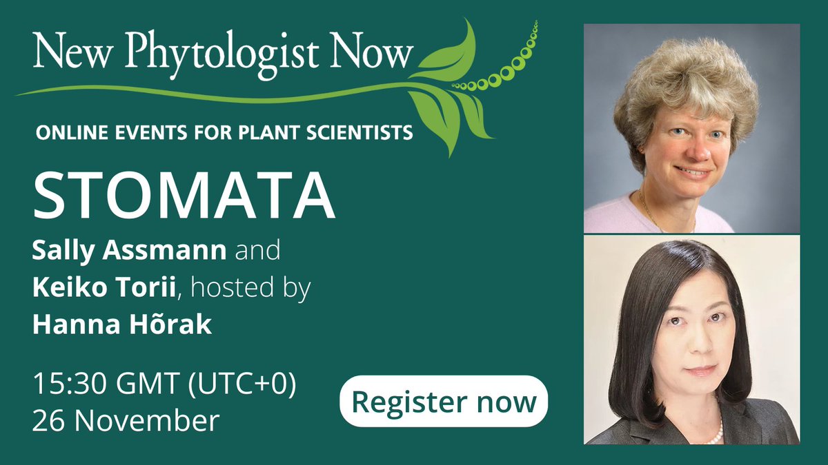 New Phytologist (@newphyt) on Twitter photo Following the successful #46NPS: #Stomata, we present two more talks from leading scientists Sally Assmann and Keiko Torii, hosted by <a href="/hanna_horak/">Hanna Hõrak</a>.
⌚ 15:30 GMT (UTC+0) 26 November
📍 Online via Zoom
Register to attend for free: newphytologist.org/events/now/npn…
@assmannlab <a href="/KeikoUTorii/">Prof. Keiko Torii</a> Following the successful #46NPS: #Stomata, we present two more talks from leading scientists Sally Assmann and Keiko Torii, hosted by <a href="/hanna_horak/">Hanna Hõrak</a>.
⌚ 15:30 GMT (UTC+0) 26 November
📍 Online via Zoom
Register to attend for free: newphytologist.org/events/now/npn…
@assmannlab <a href="/KeikoUTorii/">Prof. Keiko Torii</a>