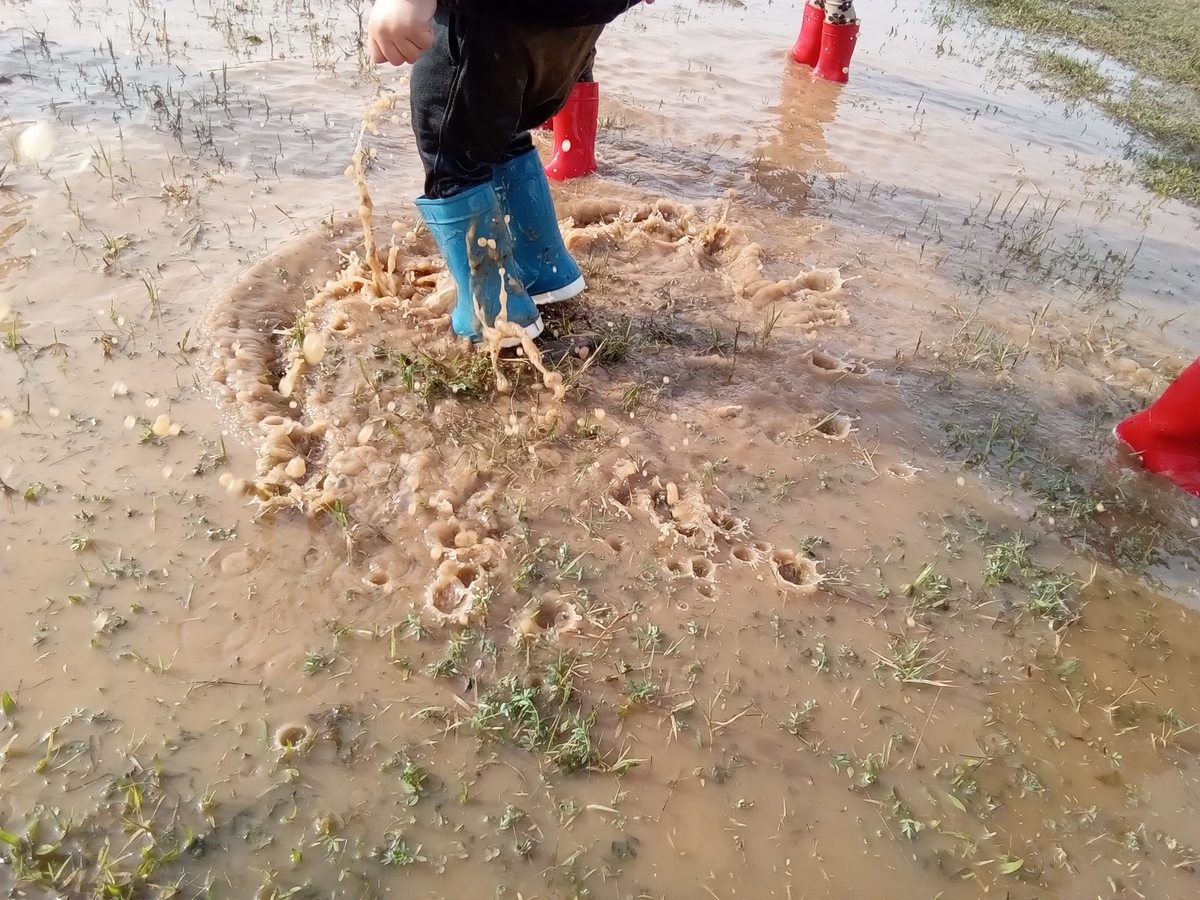 cavallcartroedu's tweet photo. L'entorn de l'escola és un espai més per realitzar petits descobriment i també experimentar amb els recursos que ens ofereix la natura, com poden ser els tolls després d'un dia de pluja.
#Olius #Solsona #Solsones https://t.co/qIqI4LrpfI