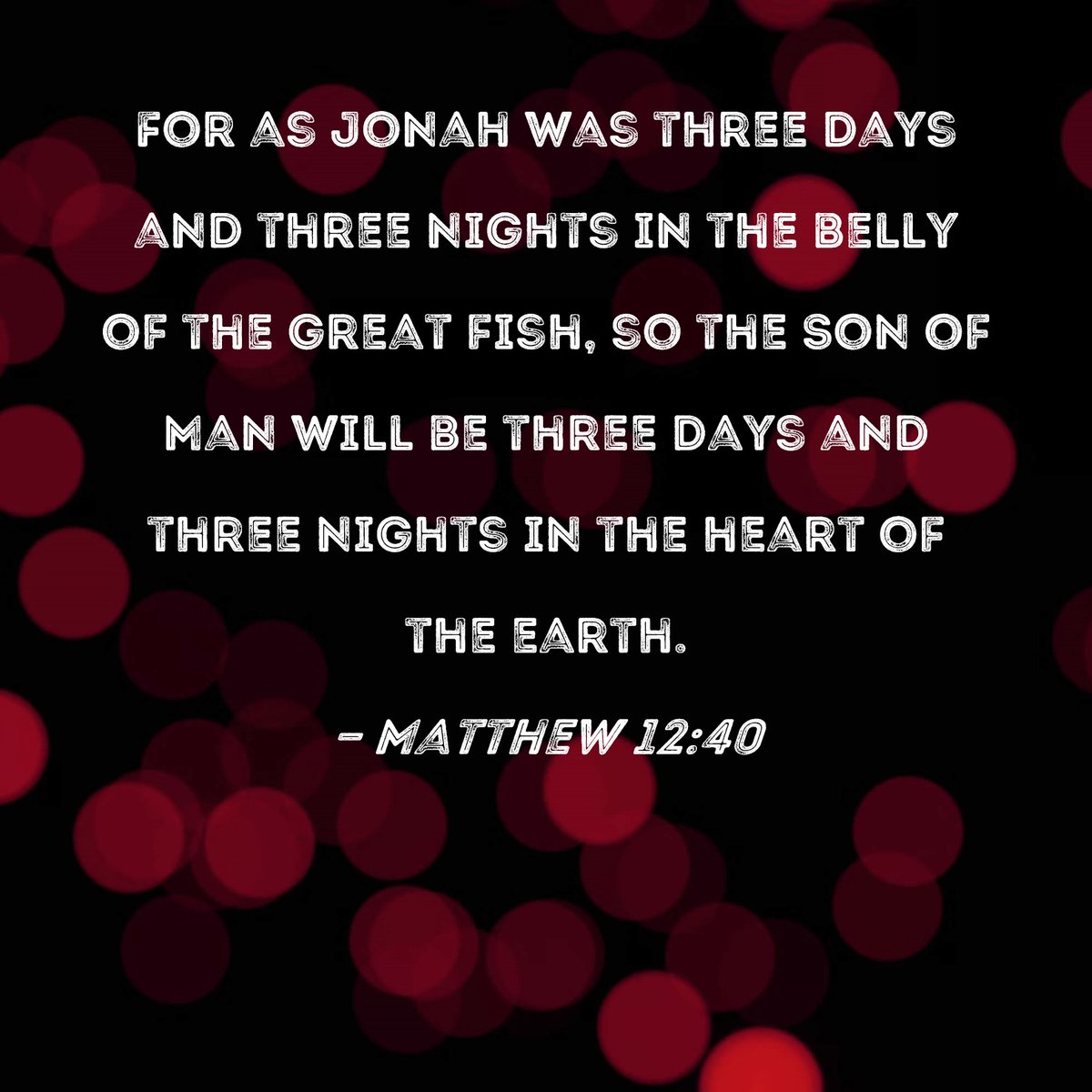 🇺🇸Nice Cuddly Bunny🇺🇦🐰 tweet media