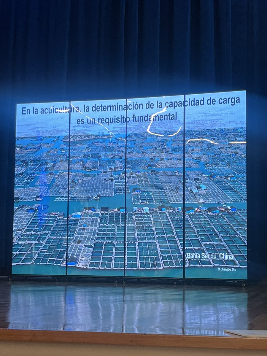 Claudia Andrade tweet media