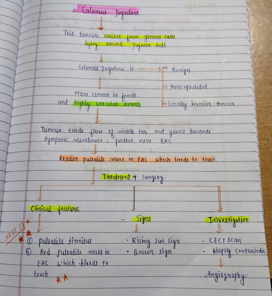 notes_146's tweet photo. Glomus jugulare #ent #ear #neetpg #middleear https://t.co/MZmN9fjZUe