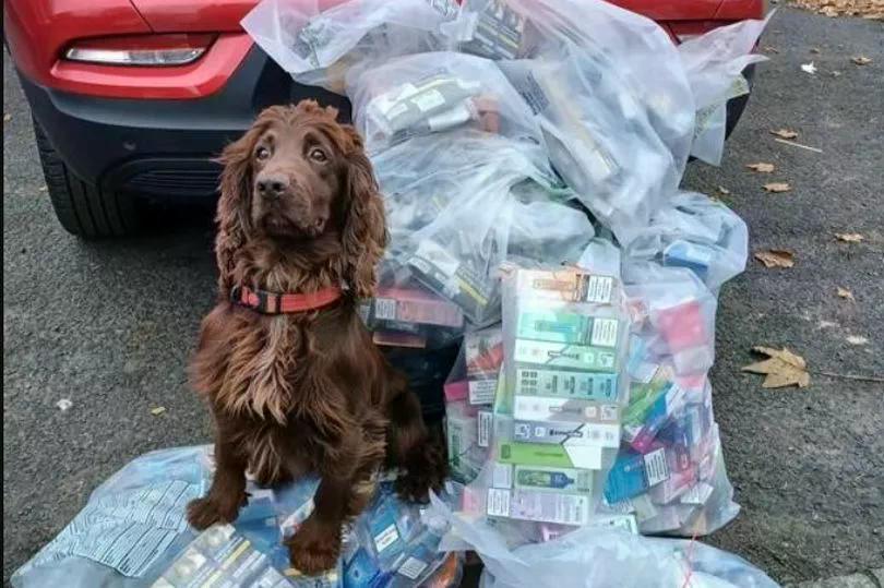 Sunderland Live tweet media