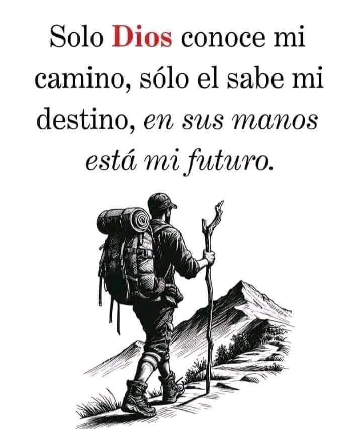 JOSEVERTV's tweet image. #LibertadFinanciera #ExitoFinanciero #exitosos #cubdeemprendedores #motivacion #motivation #motivacionpersonal #millonarios