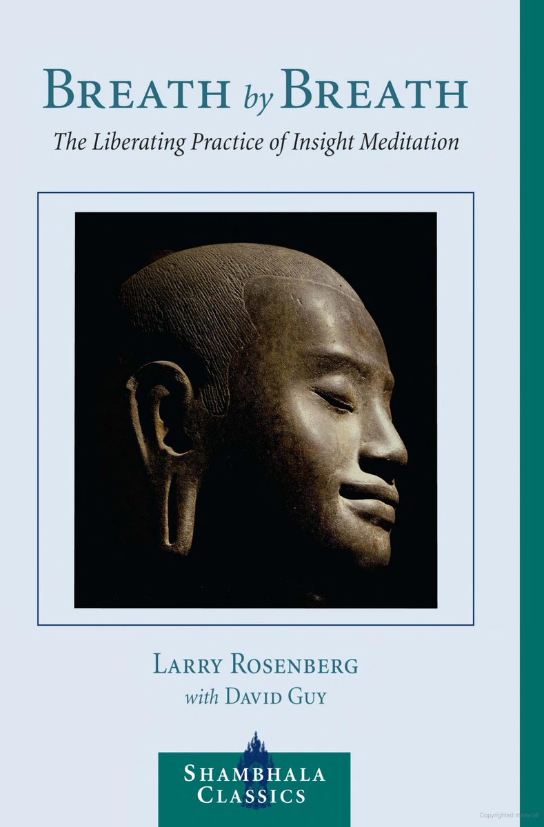 morenaxaba's tweet photo. This book https://t.co/U0sJewpP03