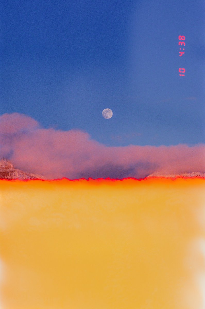 Alex Kittoe tweet media