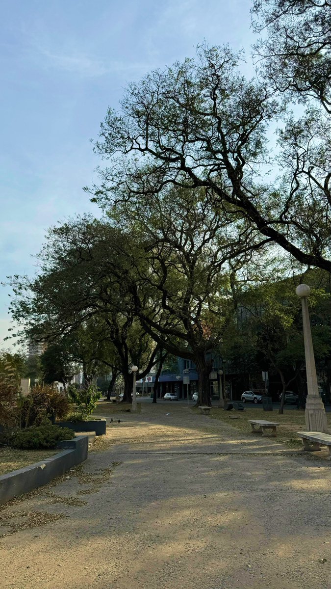 ODAaSantaFe's tweet photo. 3. En 2005, El Palomar fue restaurado por el municipio con el objetivo de preservar su valor histórico y arquitectónico. Hoy es un espacio verde y cultural donde se llevan a cabo actividades recreativas y culturales, manteniendo su legado como parte del patrimonio santafesino. https://t.co/ebjJJe0590