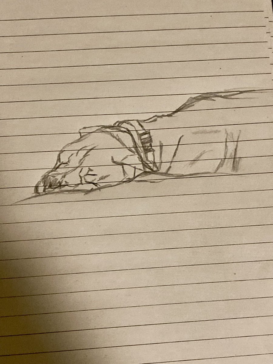 PowersTalks's tweet photo. Sleepy dog https://t.co/Xcy7qEYJjo