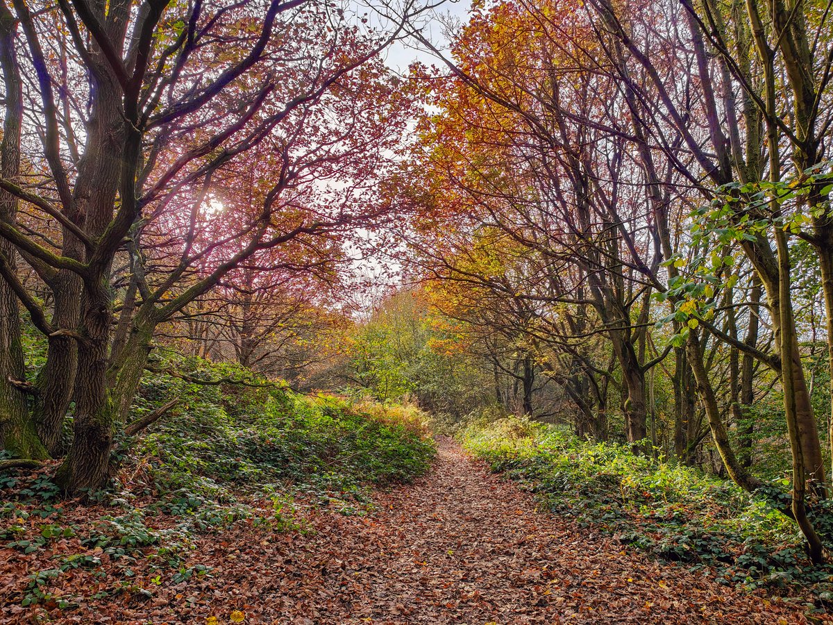 Running Seeds - Rich Warren tweet media