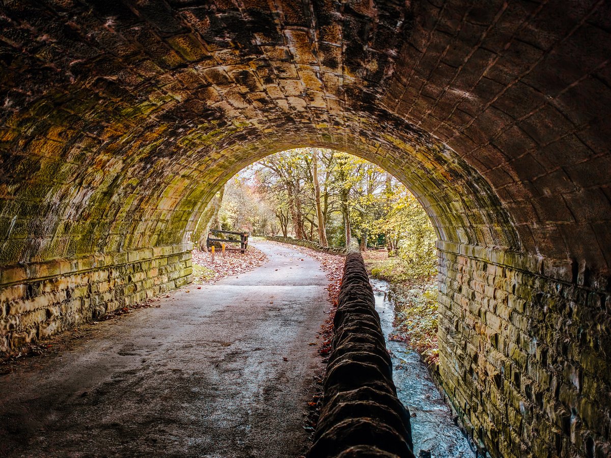 Running Seeds - Rich Warren tweet media