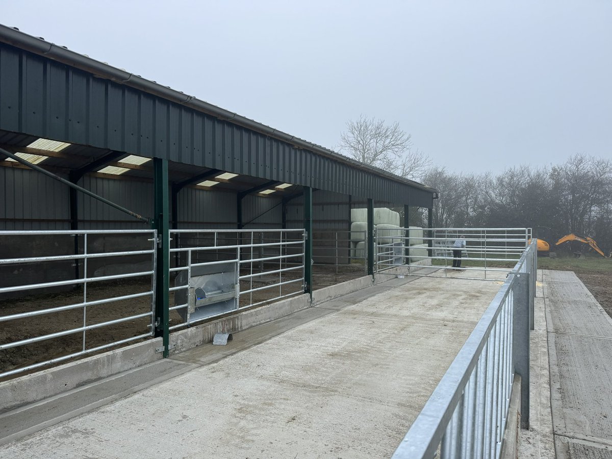 Grateful for the weather helping us out with our just in time building job, do you even keep livestock if you dont start “little” building jobs in the autumn?