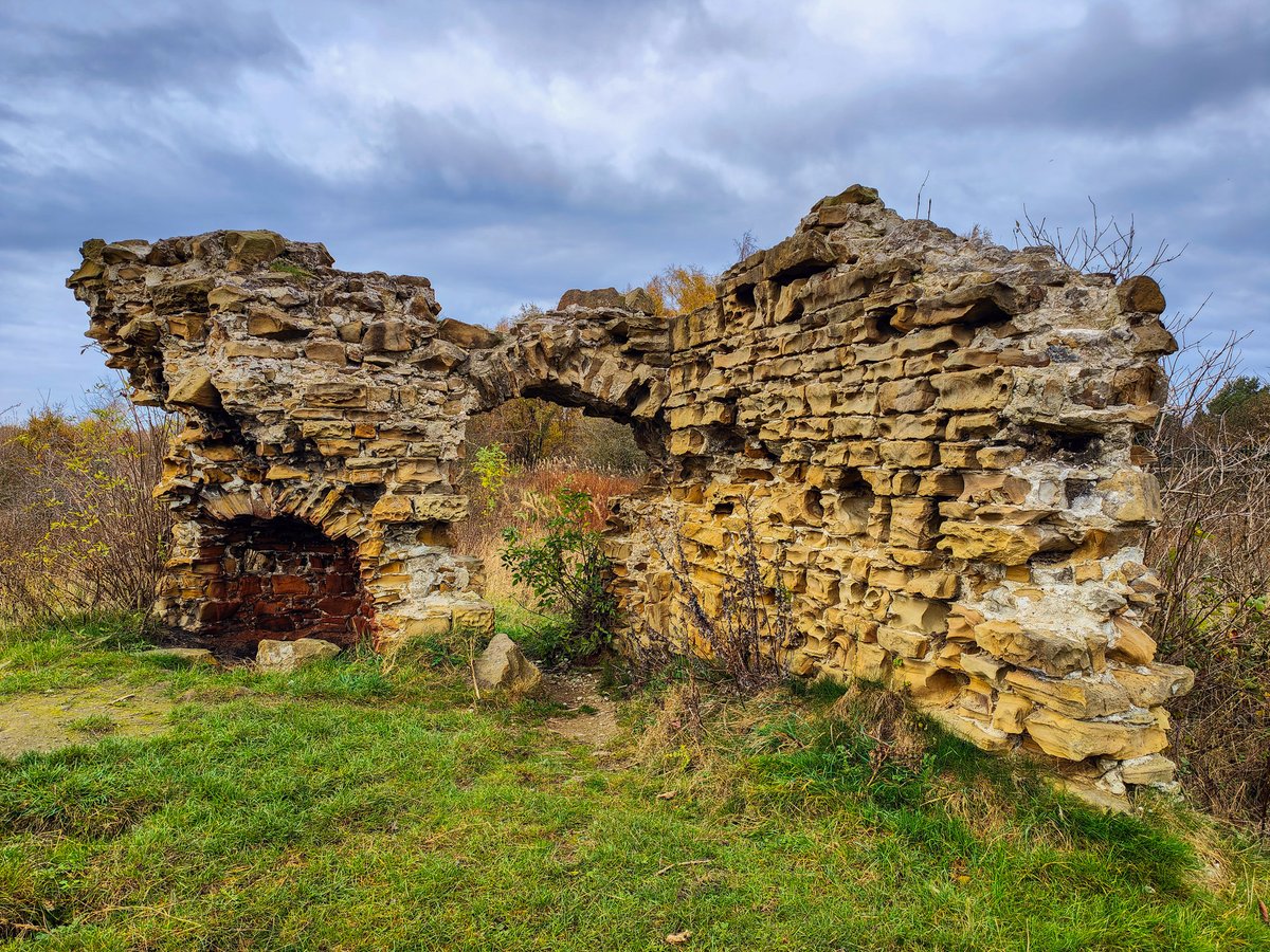 Running Seeds - Rich Warren tweet media