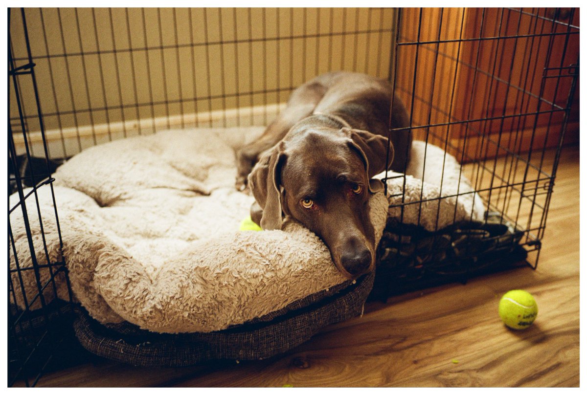 ALTOcaptured's tweet image. So I did a thing….