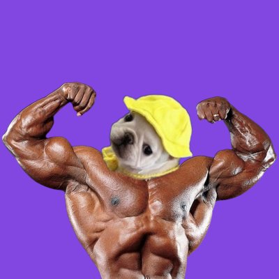 Kerskiiii's tweet photo. Stay pumped with @jimmyonpolygon
$JIMMY cutes meme coin on @wenmarkets 

Look it and invest
https://t.co/AJfsIhIe8h

Tg
https://t.co/Sv64w91d8q https://t.co/2ucPkGIrTQ